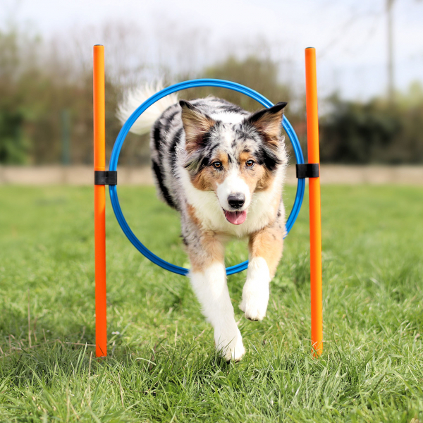 Agility Dog Trainings Set X für Hunde
